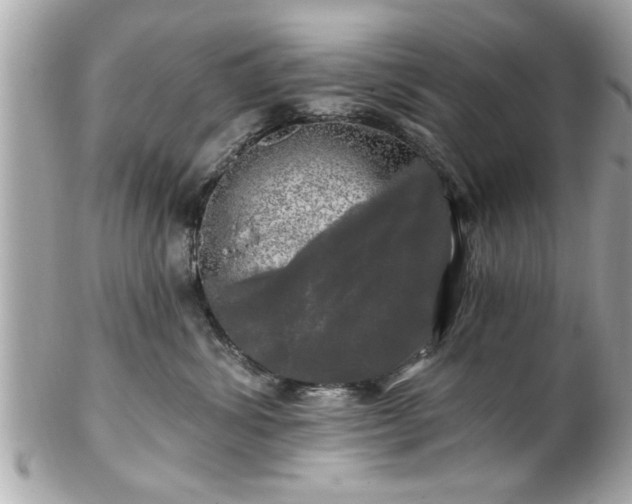 X0000102490428200808151501