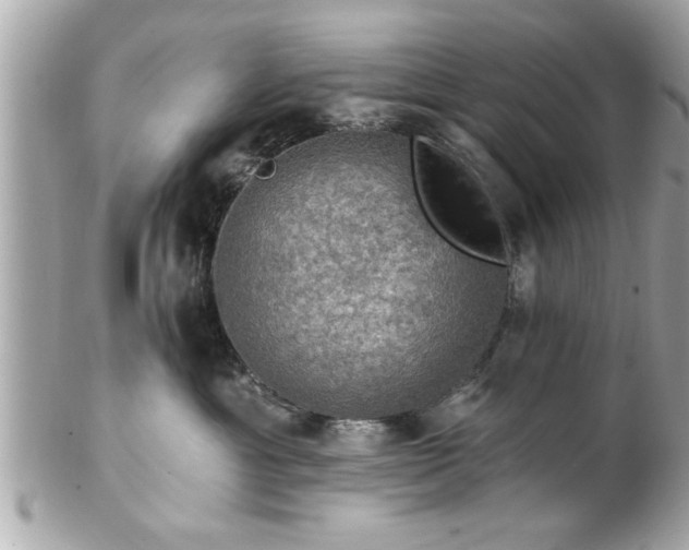 X0000102490429200808151501