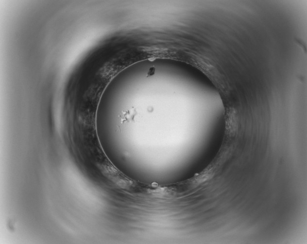 X0000102490430200808151501