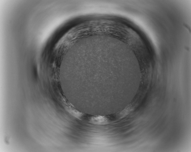 X0000102490431200808151501