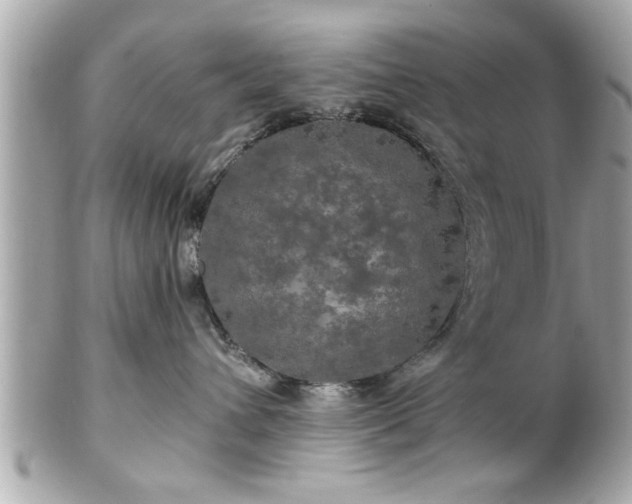 X0000102490432200808151501