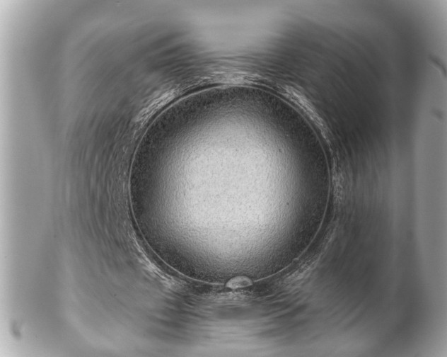 X0000102490433200808151500