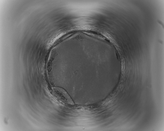 X0000102490434200808151500