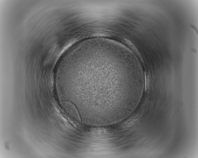 X0000102490435200808151500