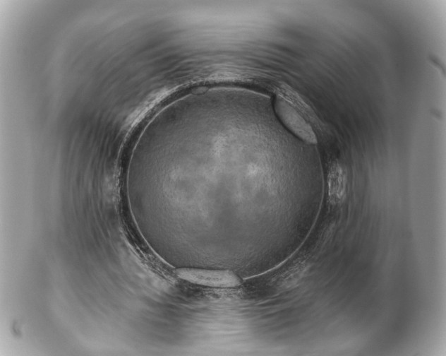 X0000102490436200808151500