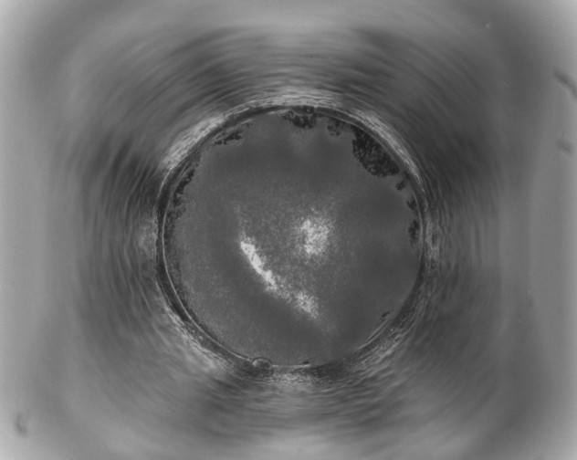 X0000102490437200808151500