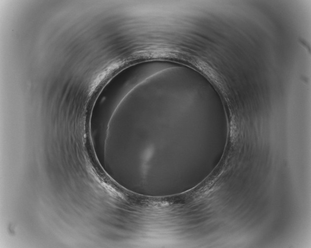 X0000102490438200808151500