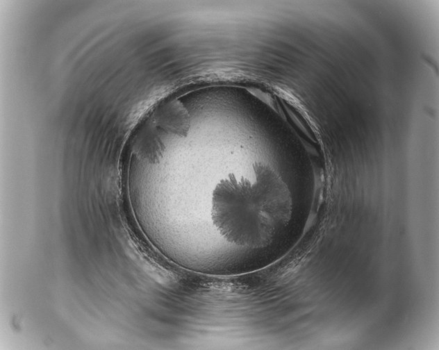 X0000102490439200808151500