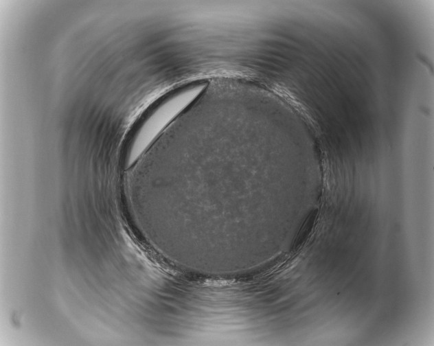 X0000102490440200808151500