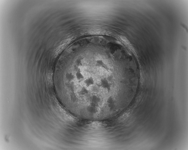 X0000102490441200808151500