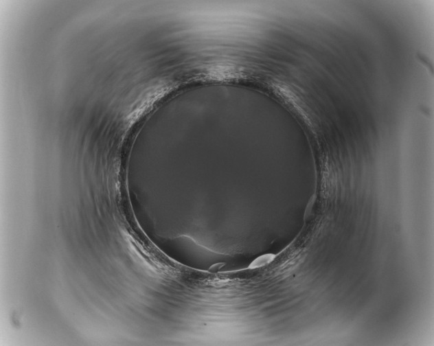 X0000102490443200808151500