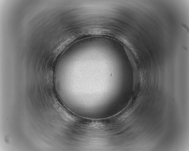 X0000102490445200808151500