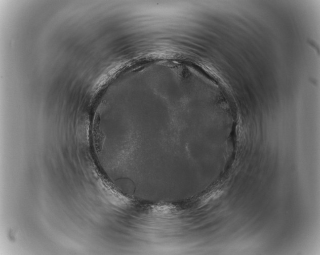 X0000102490446200808151500