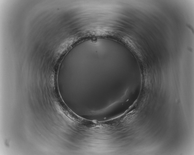 X0000102490447200808151500