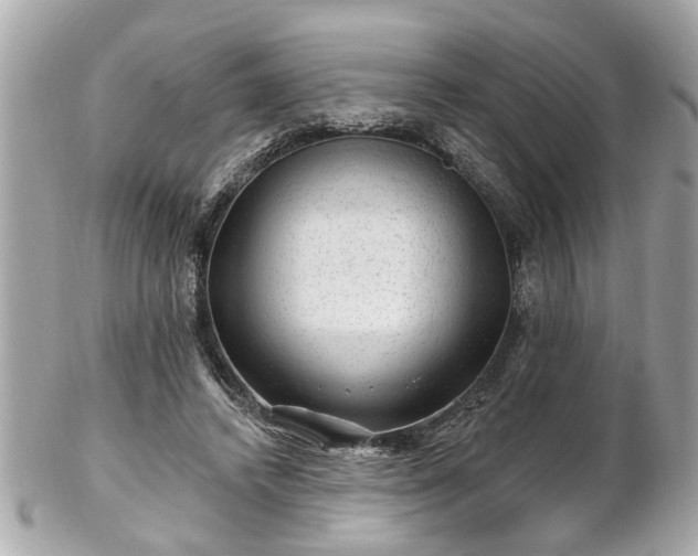 X0000102490448200808151500