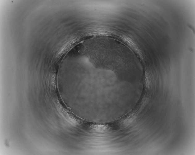 X0000102490449200808151500