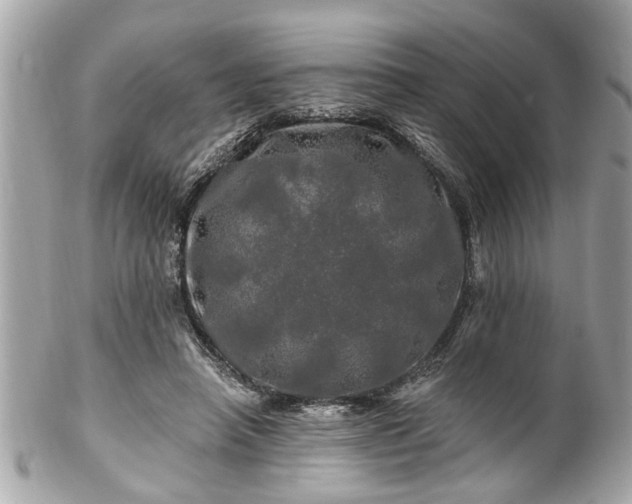 X0000102490450200808151500