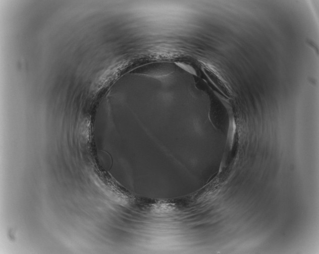 X0000102490451200808151500