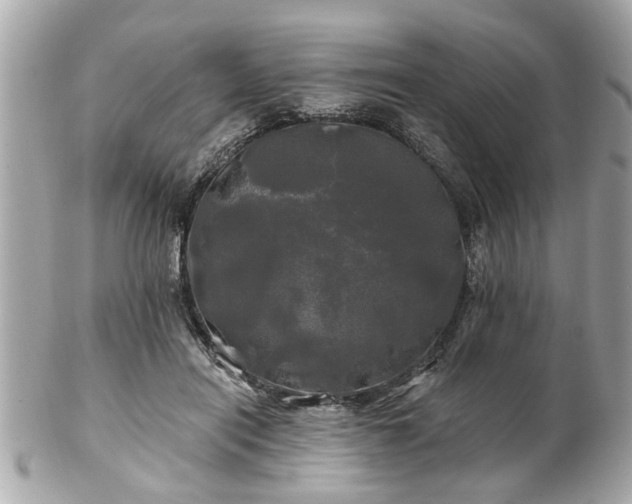 X0000102490454200808151500