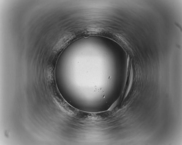 X0000102490455200808151500