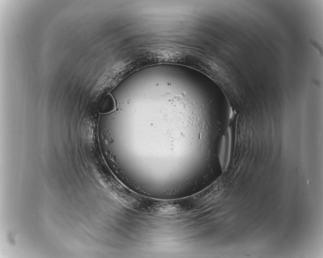 X0000102490456200808151500