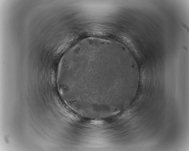 X0000102490457200808151500