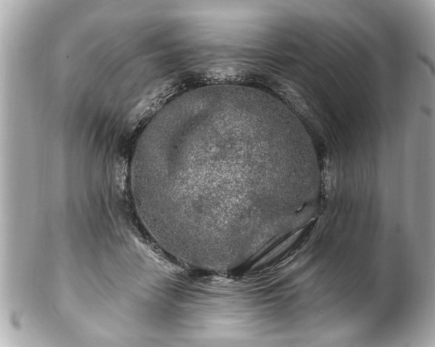 X0000102490458200808151500