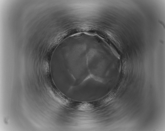 X0000102490459200808151500