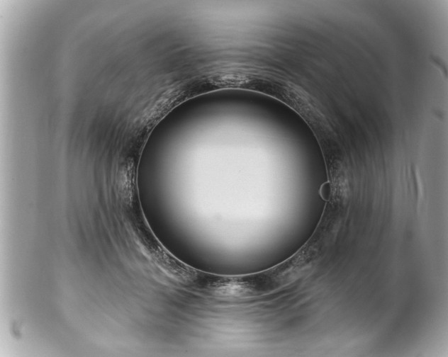 X0000102490460200808151500