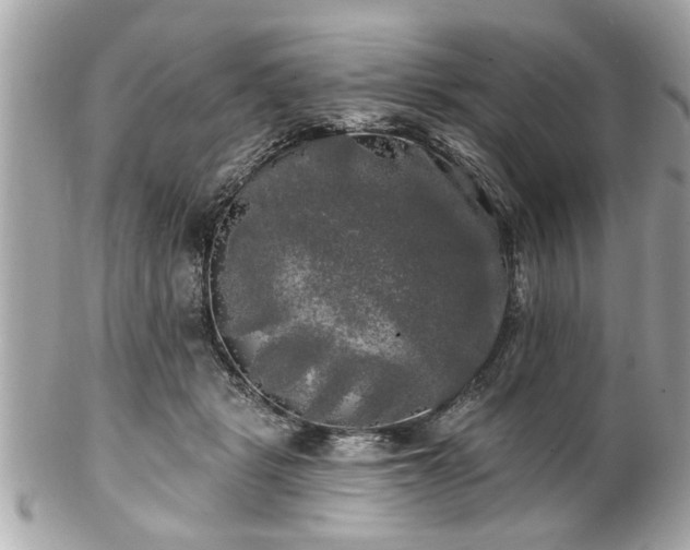 X0000102490461200808151500