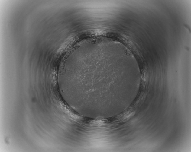 X0000102490462200808151500