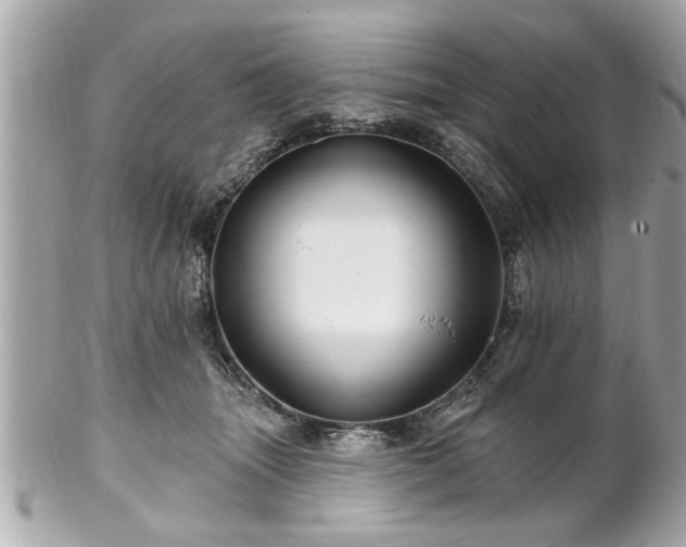 X0000102490463200808151500