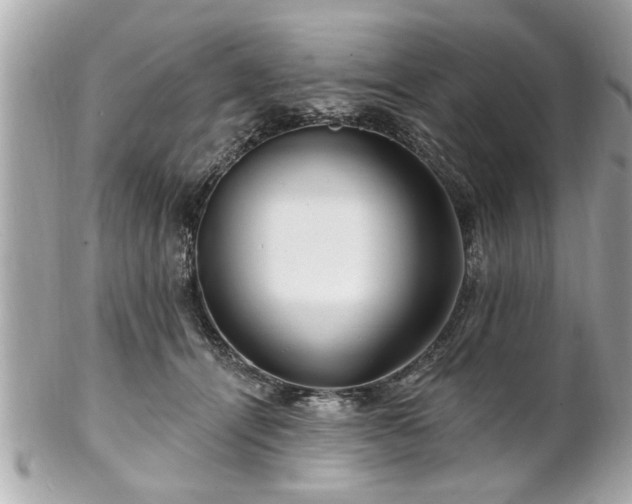 X0000102490464200808151500