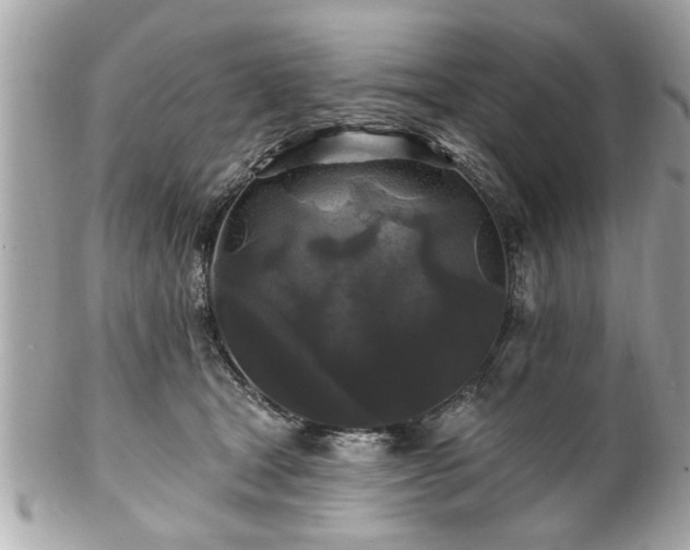 X0000102490465200808151500