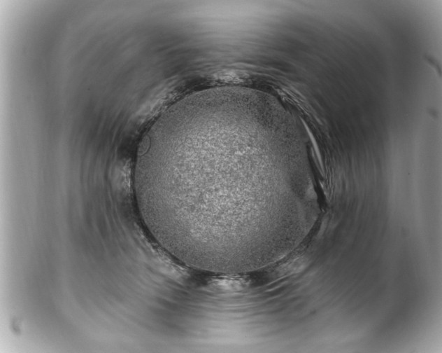 X0000102490466200808151500