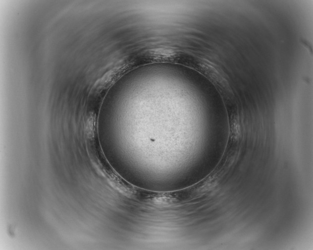 X0000102490468200808151500