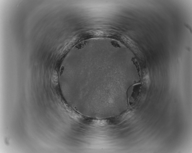 X0000102490469200808151500