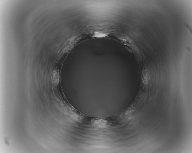 X0000102490471200808151501