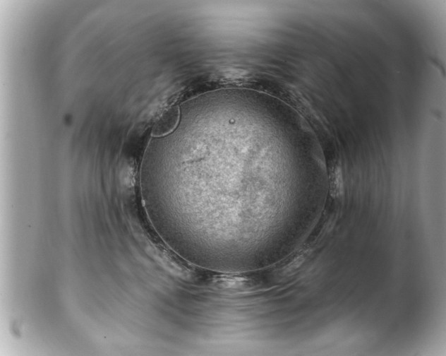 X0000102490472200808151501