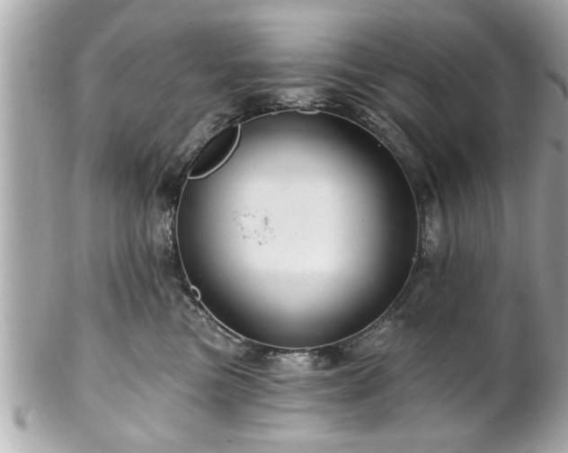 X0000102490473200808151501