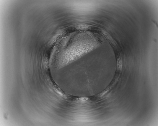 X0000102490474200808151501