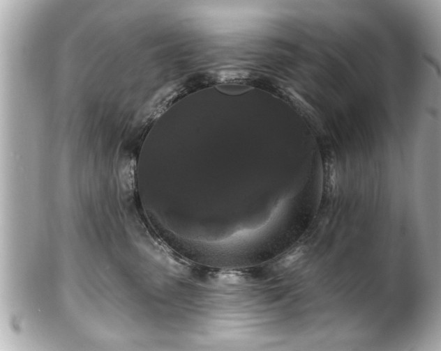 X0000102490475200808151501