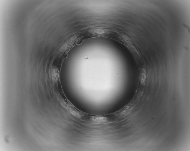 X0000102490476200808151501