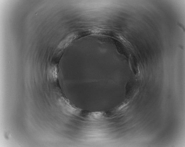 X0000102490479200808151501