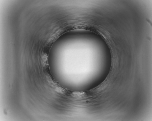 X0000102490480200808151501