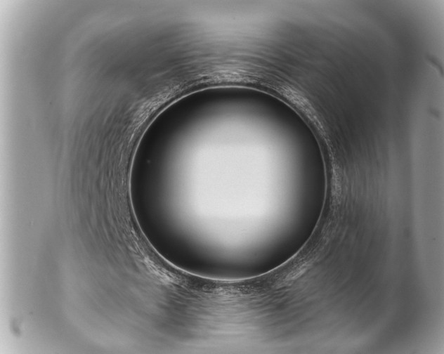 X0000102490481200808151500