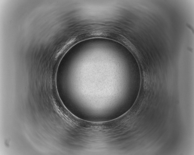 X0000102490482200808151500