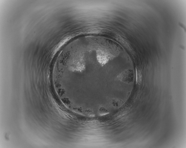 X0000102490483200808151500