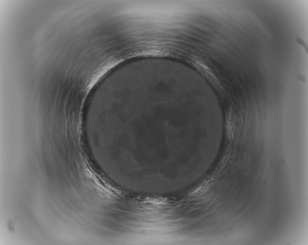 X0000102490484200808151500