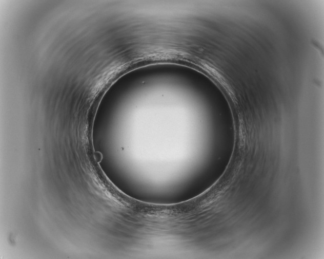 X0000102490485200808151500